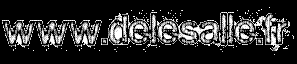 www.delesalle.fr